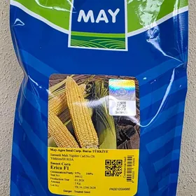 SÜÝJİ MEKGE TOHUMY (ERICA F1)