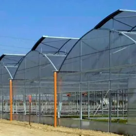 Ýyladyşhana plyonka Пленка