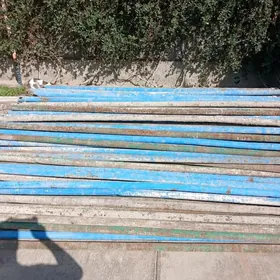 Iskele damkyrat taýrot