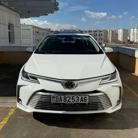 Toyota Corolla 2023