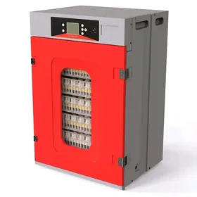 inkubator/инкубатор