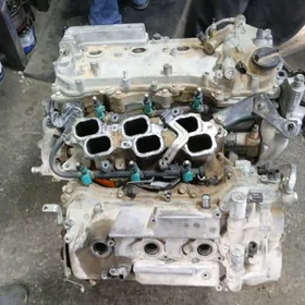 Highlander Мотор