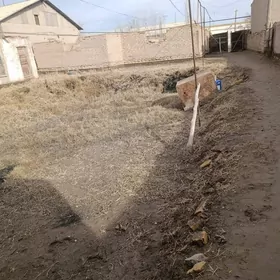 satlyk jay akdepe etraby