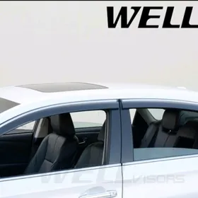 awalon kozyrek wetrowik