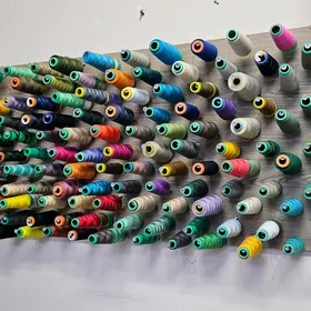 sapak dosga sapak asylýan