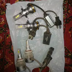 arginal let h4 kamplekyt