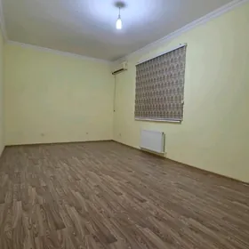 ПОДВАЛ 220 М2. МИР 2