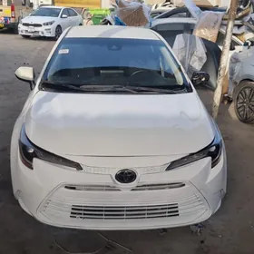 Toyota Corolla 2023
