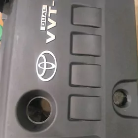 Karollo mator zaşita