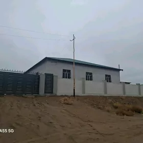 Gulustan taze domlar arasynda