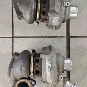 turbinalar King Ranch