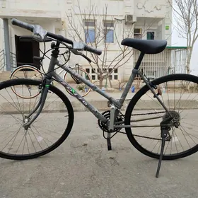 EPLENÝÄN ALYUMIN YAPON TIGIRI