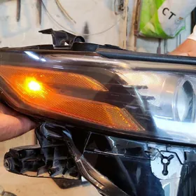 2022 Camry Fara yewropeyka