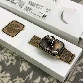 Apple Watch 8 45mm Steinles