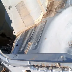 21 sanata cep yzky lanjuron