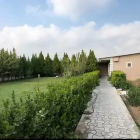 1 комнатная