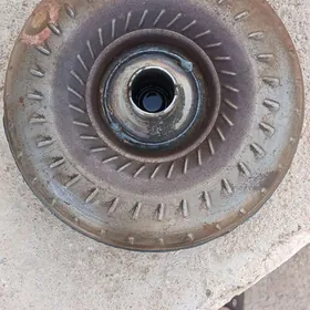 Gazan Karolla 2002 2004