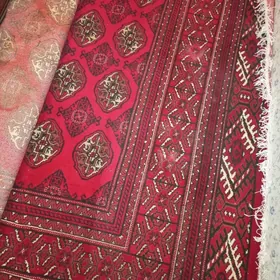 КАВЁР ТУРКМЕНСКИЙ