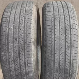 pakrişga 235 55 20 Biridiston