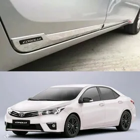 14 Karollo Parok Nikil