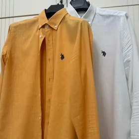 Polo lion koynek sary ak renk