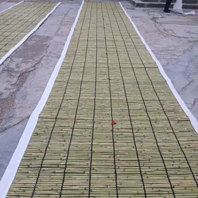 gamys balak yupden gayym