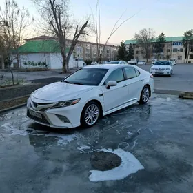Toyota Camry 2019