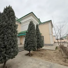 Coganly cyzgy kottejd satlyk