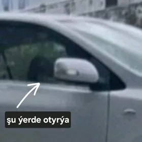 Gapydaky aýna rezinler