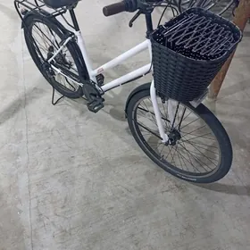 N27.5 YOGYN TIGER ORGINAL