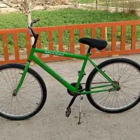 Велик туркменистан ягдайы говы