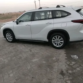 18 LIK  HIGLANDER DISGA PAKRYS