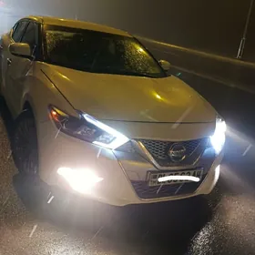 Nissan Maxima 2017