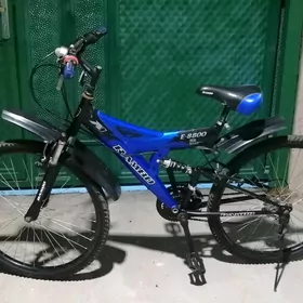 Welosiped/ Велосипед