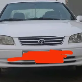 Toyota Camry 2001