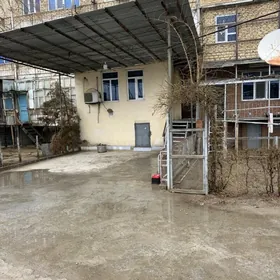 Seydi saher jay satylyar