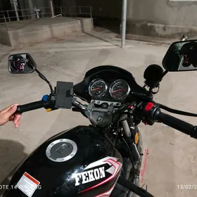 Fekon FK200-14G 2026