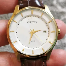 Sagat Часы Citizen.