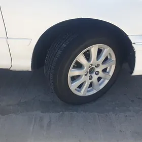 215.60.R16 disga pakrysga