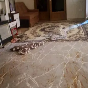 ХИТРОВКА ПОЛ ДОМА