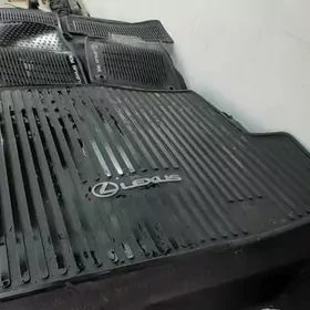 Rodnoy 20 RX ryzin kowrik