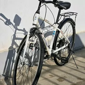 Brigiston tigir 26 yopoşka