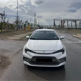 Toyota Corolla 2021