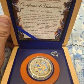 серетсеребренная монета