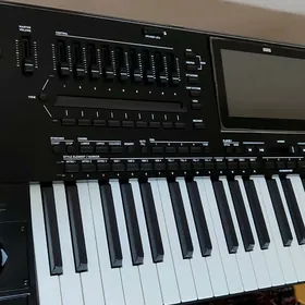 KORG Pa 5 profisenal arran