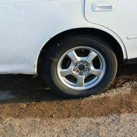 15 lik disga teke 16 bln abmen