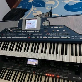korg pa800 elite