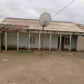 kreyne turkmen jaylar