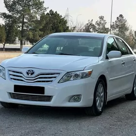 Toyota Camry 2010