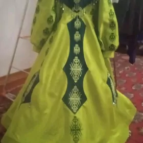 gyzjagazlan toy koynegi